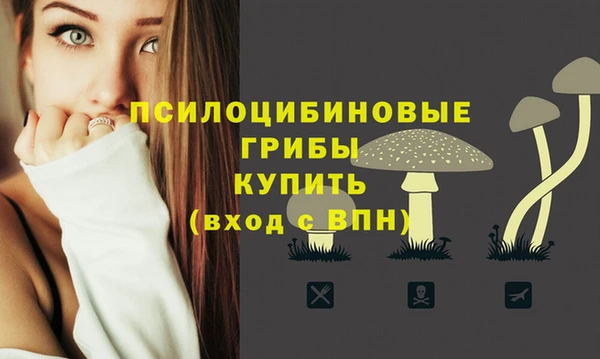 бутират Алексин