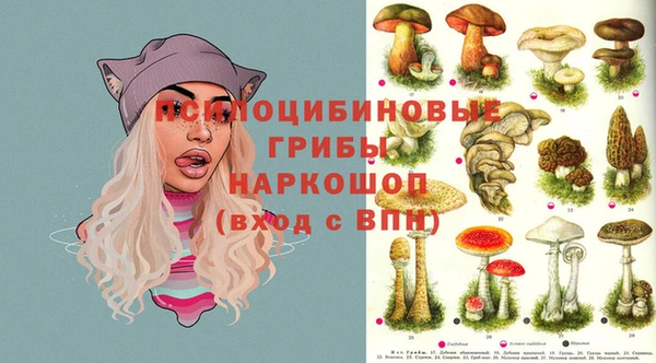 сатива Абинск