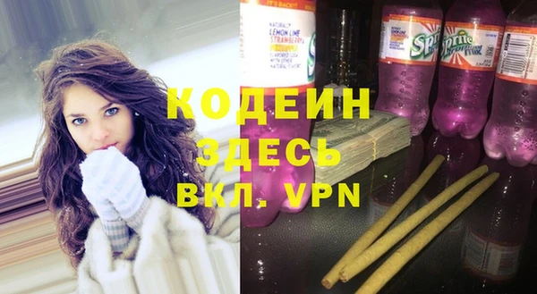 дмт Пересвет