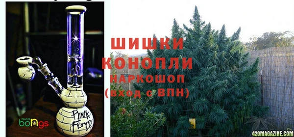 сатива Абинск