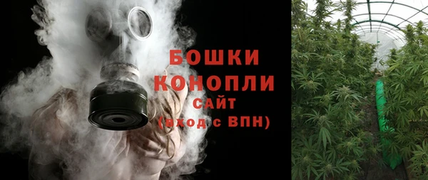 сатива Абинск